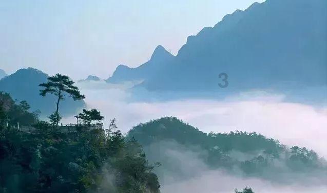 破碎的动物图形