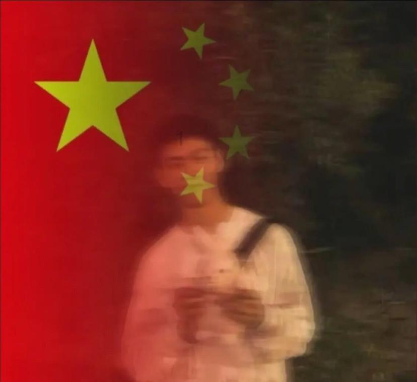 苏州工业园区淞泽社区:感受文化魅力,共筑美好社区